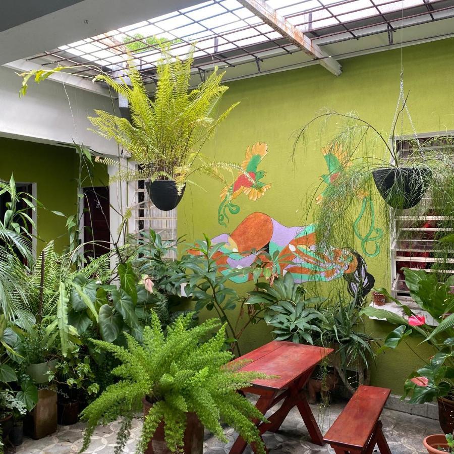 Hostal Cumbres Del Volcan Flor Blanca San Salvador Dış mekan fotoğraf